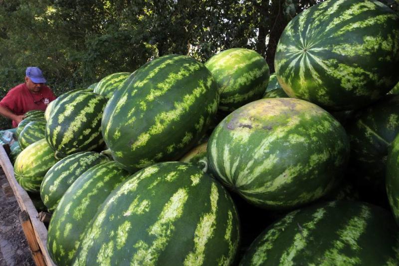 GettyImages-1008975550-92283