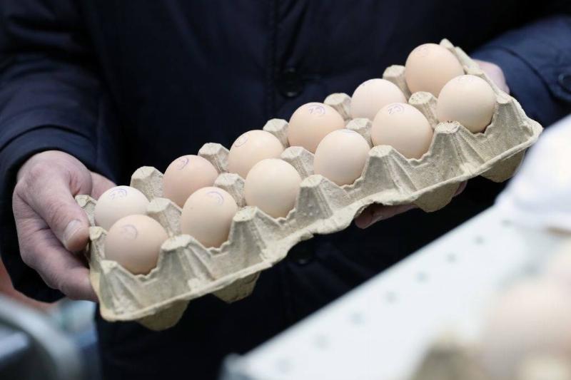 GettyImages-1083601324-35512