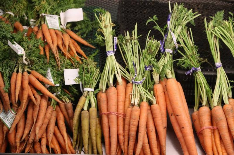 GettyImages-1086466442-26504