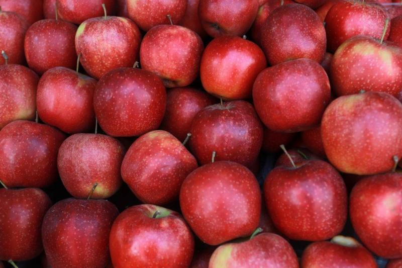 GettyImages-1132708013-28776