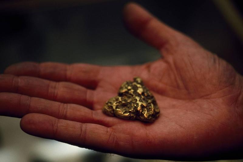 Everyone Was Excited About The Prospect Of Gold