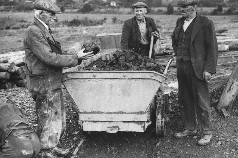 Peck Was Gaining Workers To Give The Attraction Upgrades