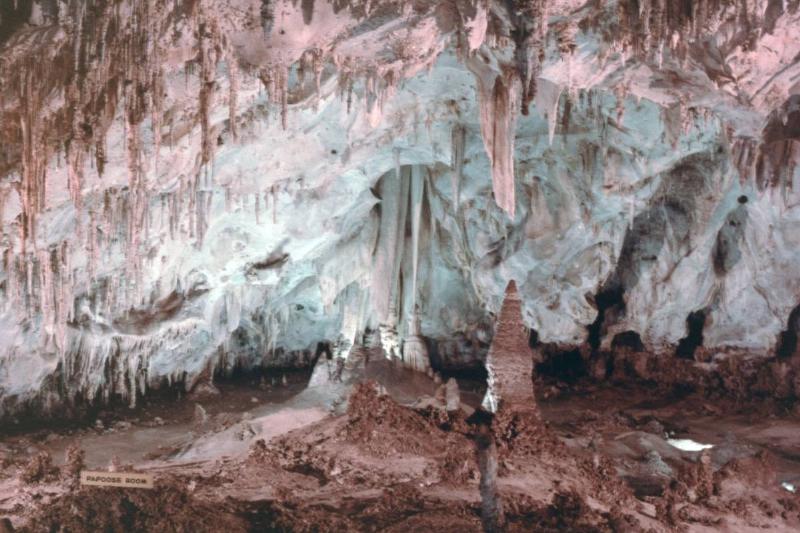 He Spotted Two Skeletons