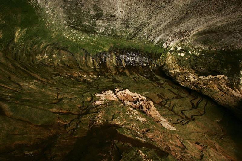 No Animals Frequent The Cave Today