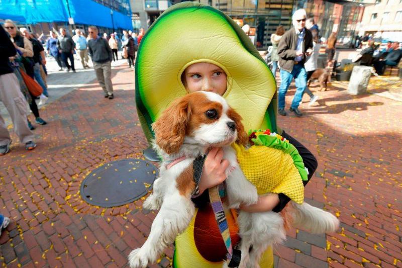 a girl in an avocado costume holding up her puppy in a taco costume