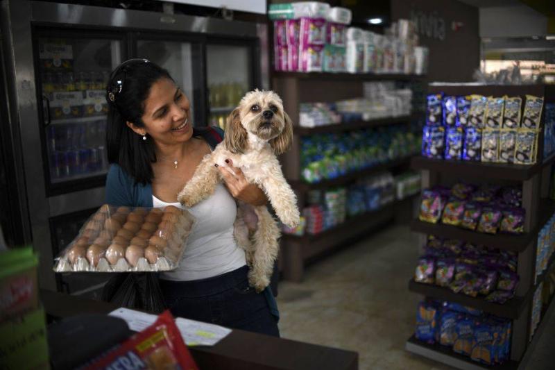 a woman holding up a pack of eggs and a small dog