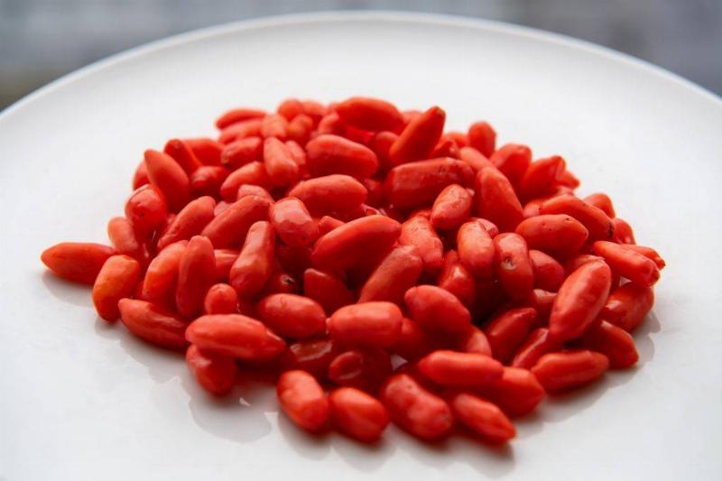 Goji berries lie on a plate