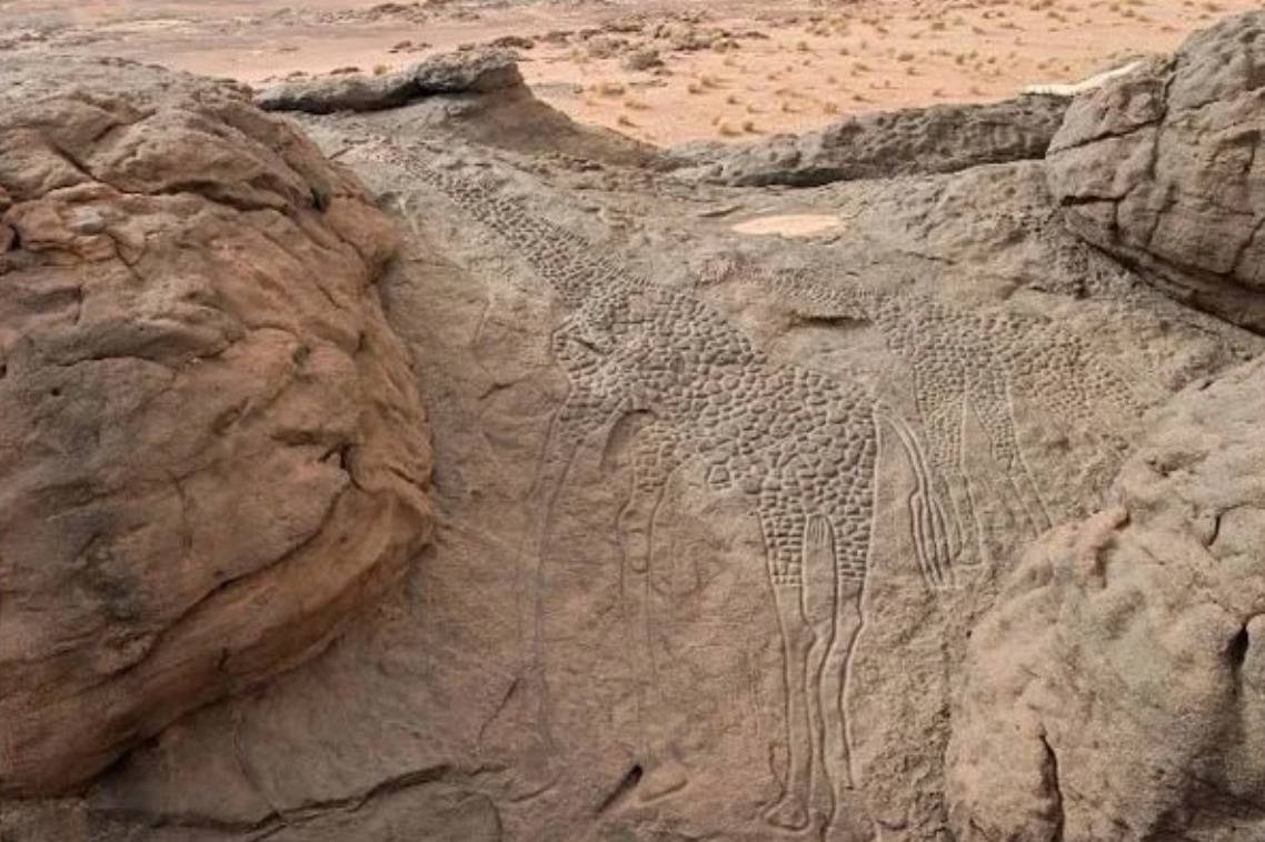 carving of a giraffe in a rock