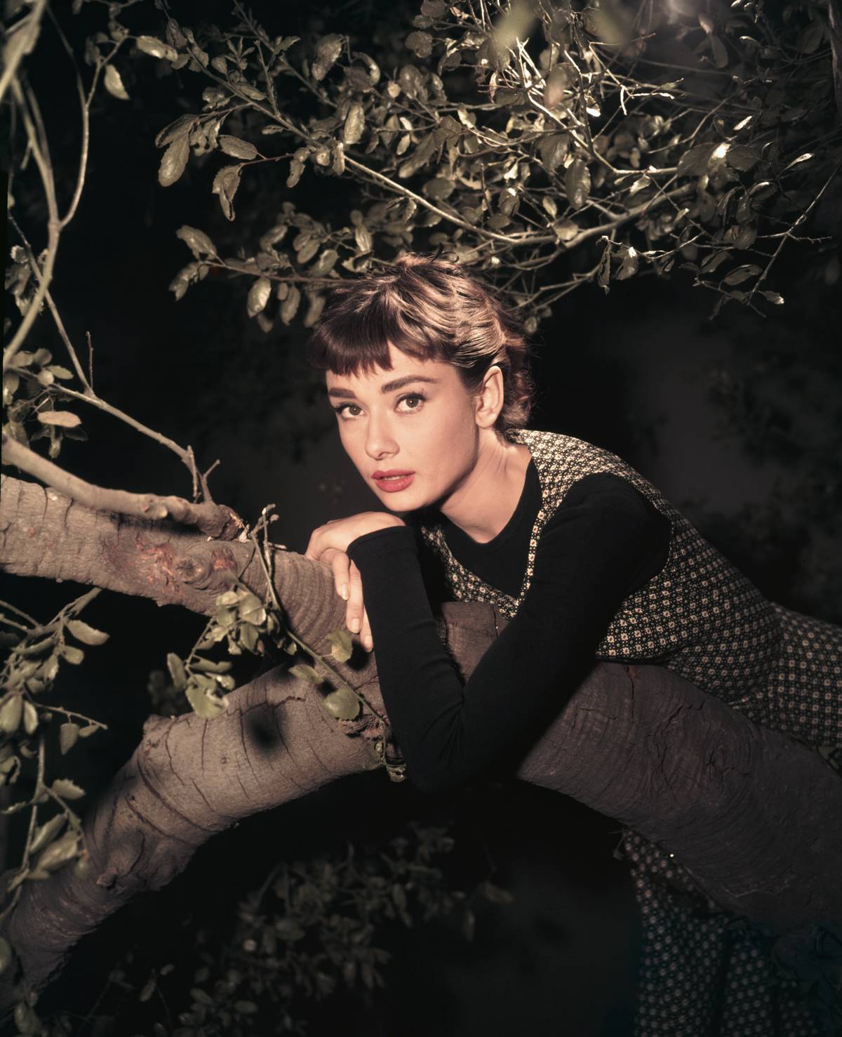 Hepburn Was Big In The Theatre Scene