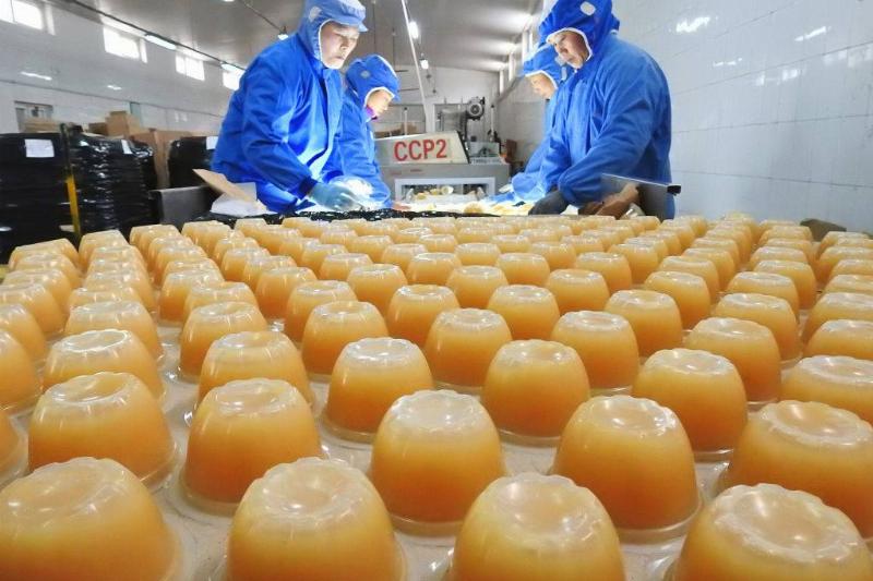 Workers inspect canned fruit at a workshop
