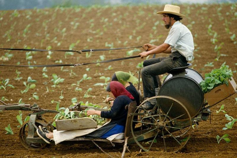 GettyImages-542342002