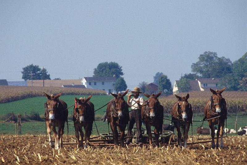 GettyImages-542346572