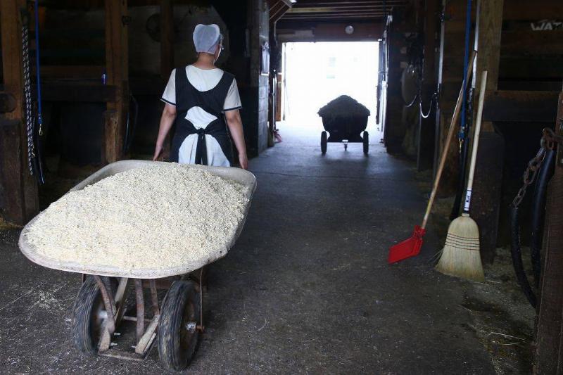 GettyImages-675253144