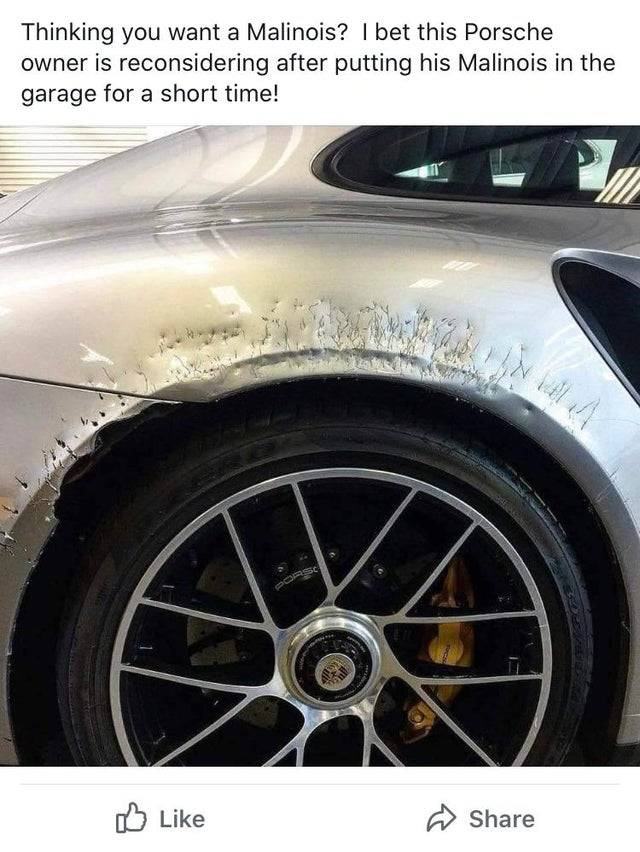 dog bite on porsche