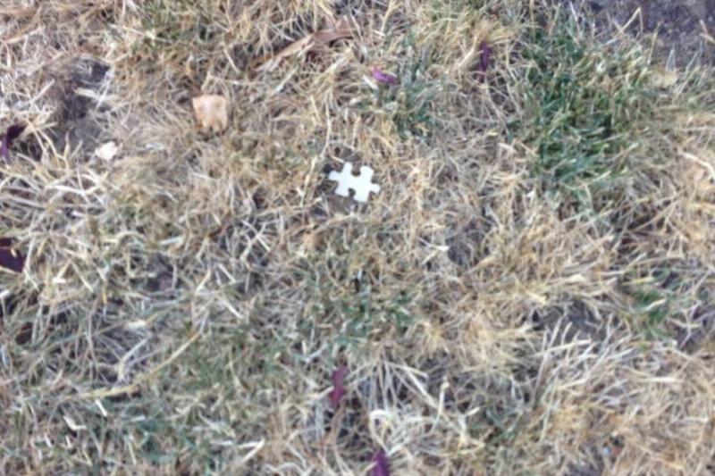 one puzzle piece in empty field