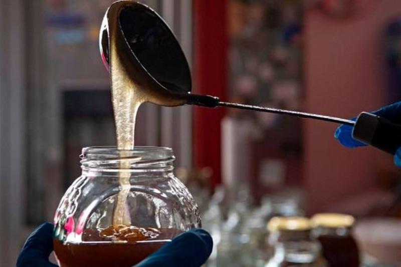 33 Comidas Insanas 6