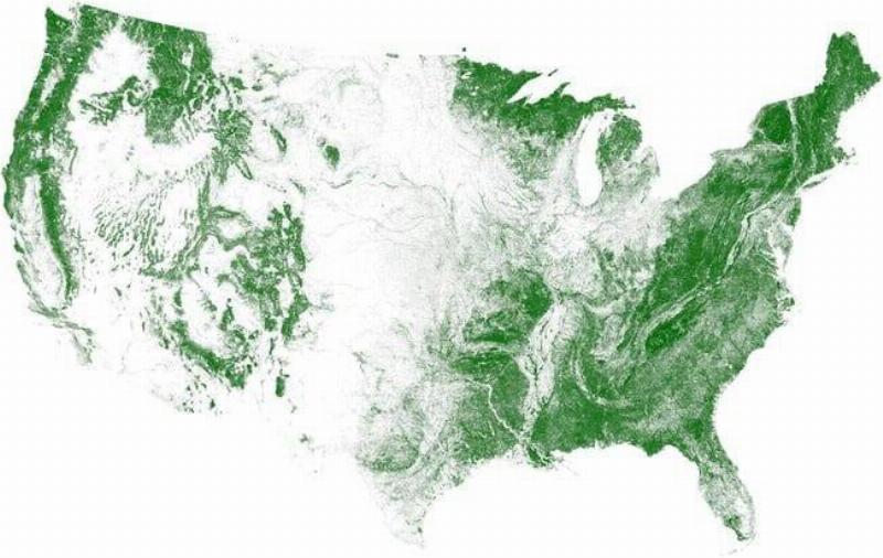 Middle America Has More Farmland Than Trees