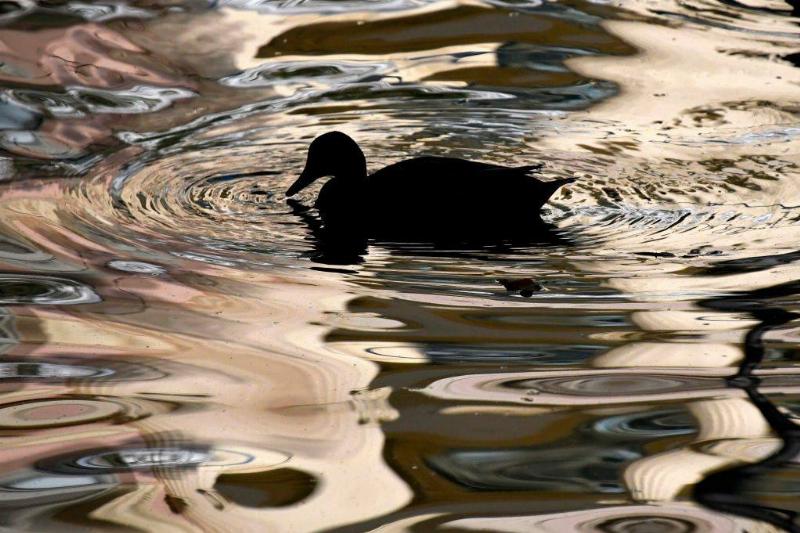 GettyImages-1024766124