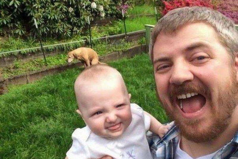 dog in background of photo