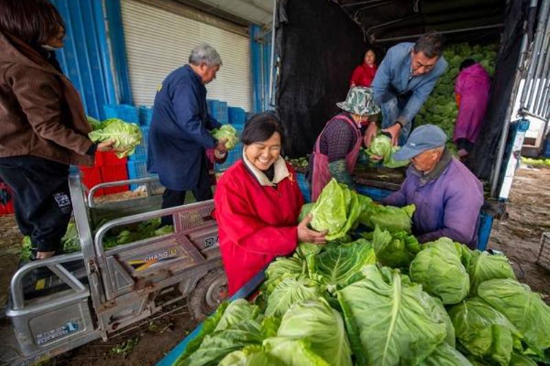 16 Renov Comidas Sanas 23