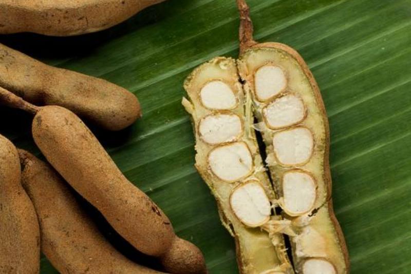 16 Renov Comidas Sanas 25