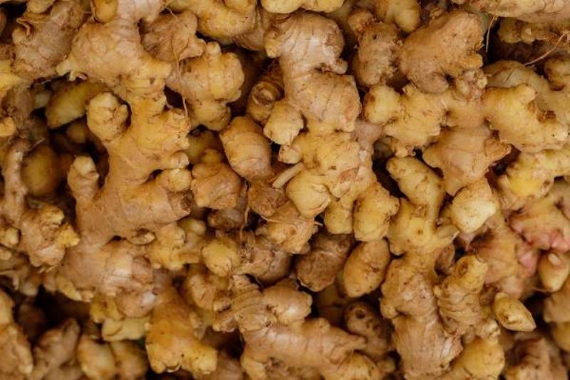 16 Renov Comidas Sanas 27