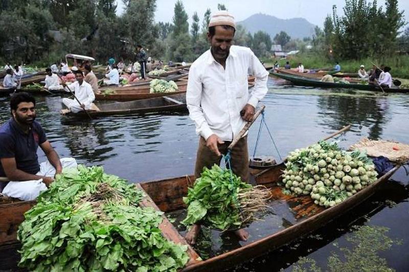 16 Renov Comidas Sanas 37