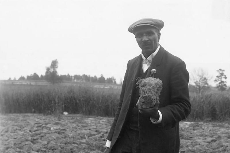 Picture of George Washington Carver 
