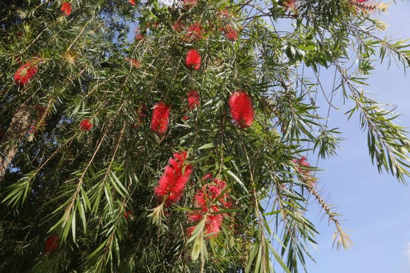 GettyImages-1138475370