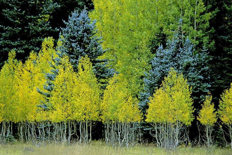 GettyImages-146142967