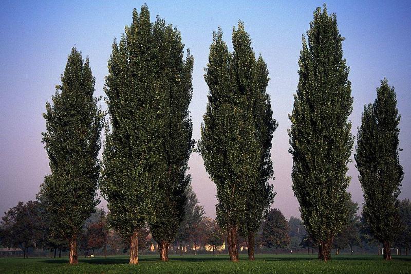 GettyImages-154711725