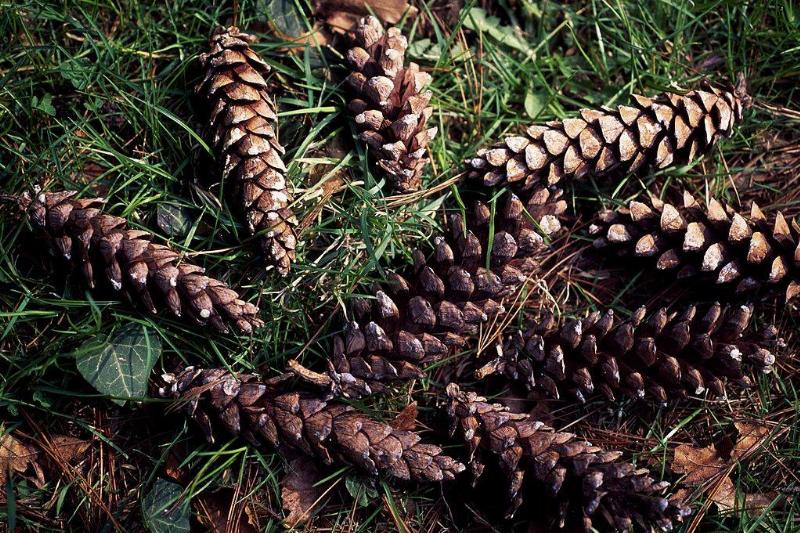 GettyImages-154716430