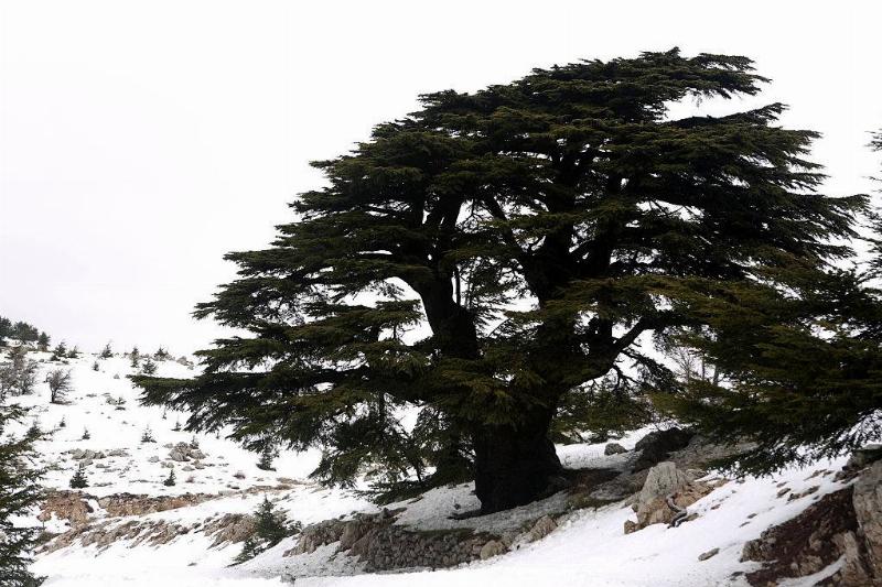 GettyImages-503601296