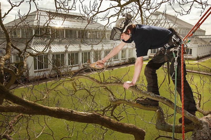 GettyImages-89834740