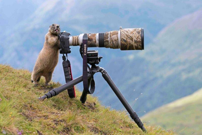 GettyImages-1162728390