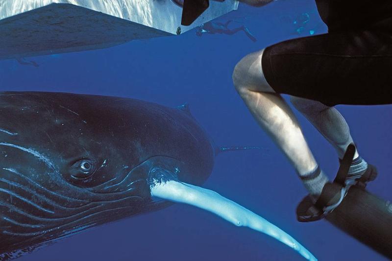 GettyImages-146140879