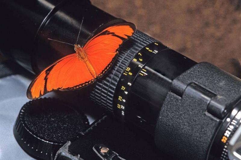 GettyImages-146141018