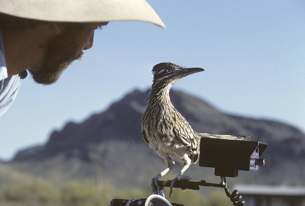 GettyImages-146143000