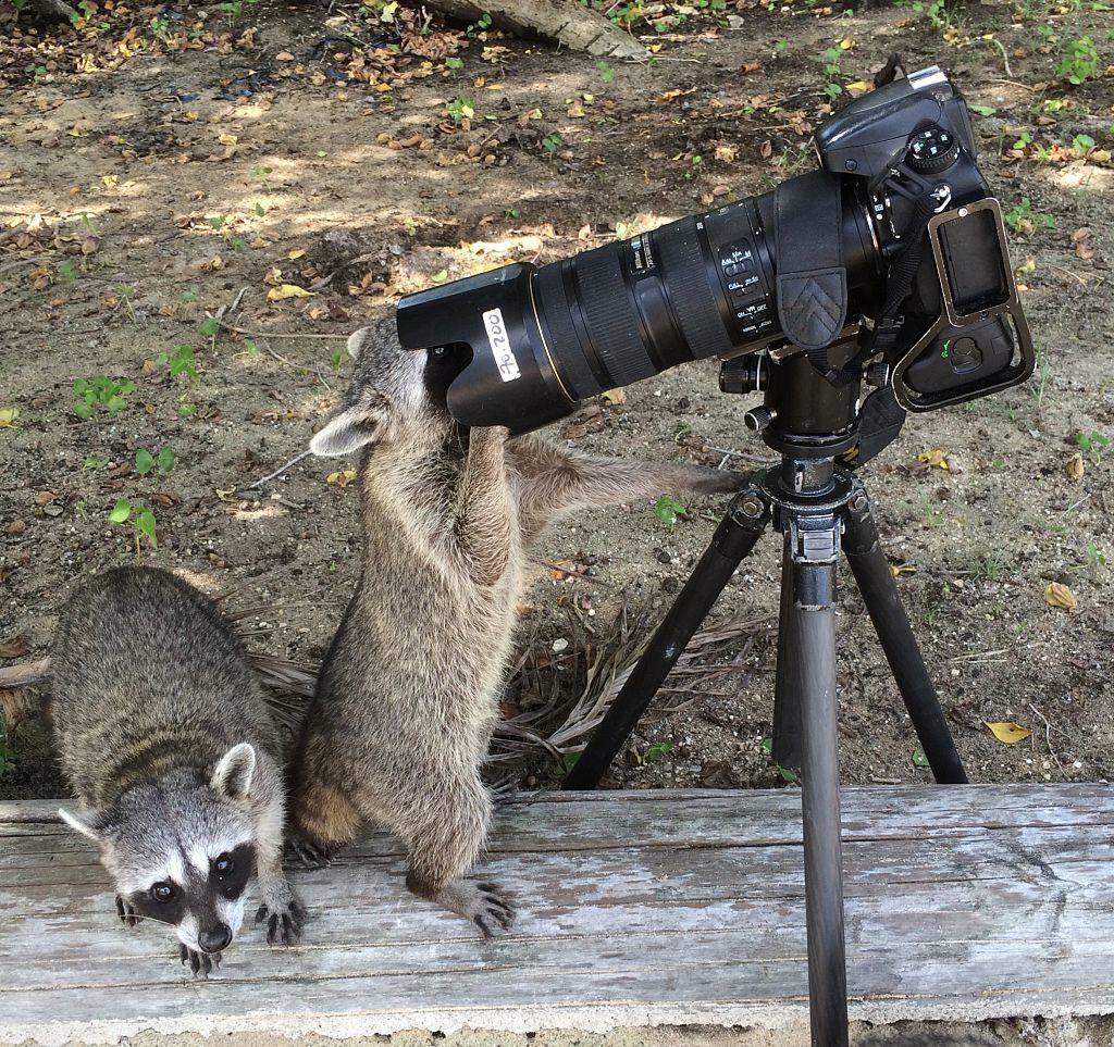 GettyImages-532878579