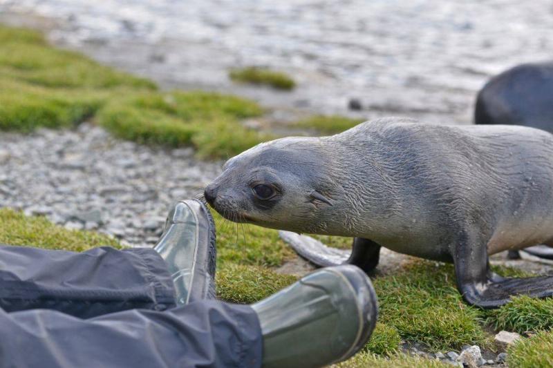 GettyImages-907633562