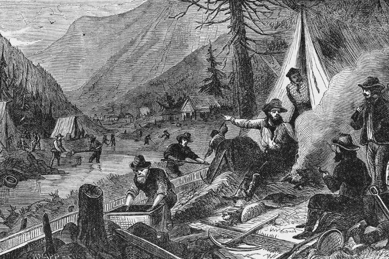 A miner searchers for gold with a shovel in 1852.