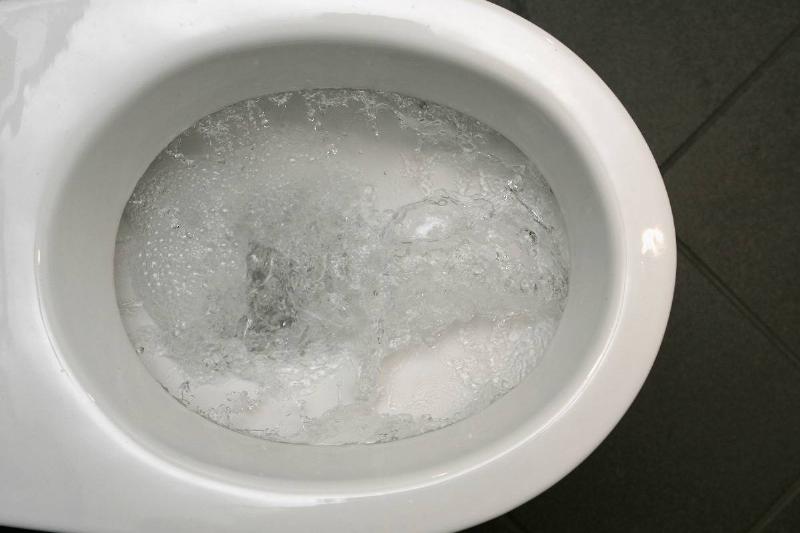 toilet