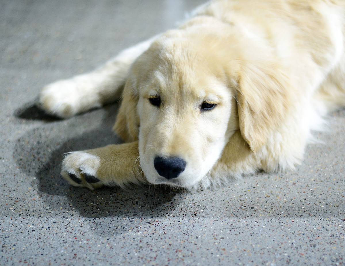 Crosby Wasn't Answering To His Name