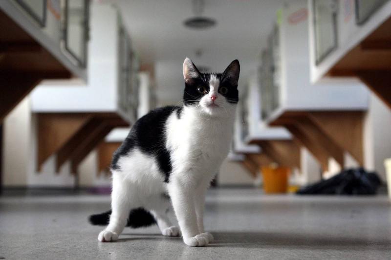 George Needed A Plan