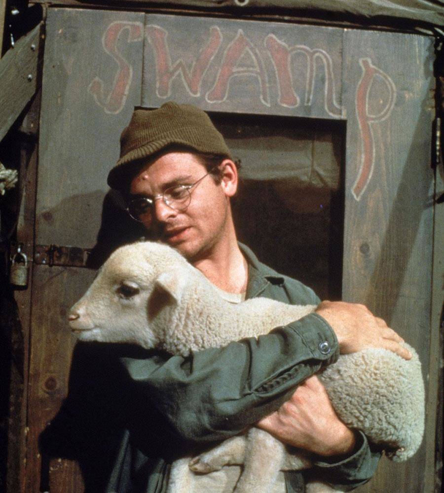 Real-Life Inspiration