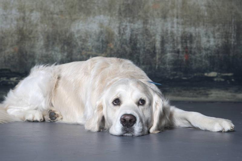 The Living Room Wall Was Crosby's Point Of Interest