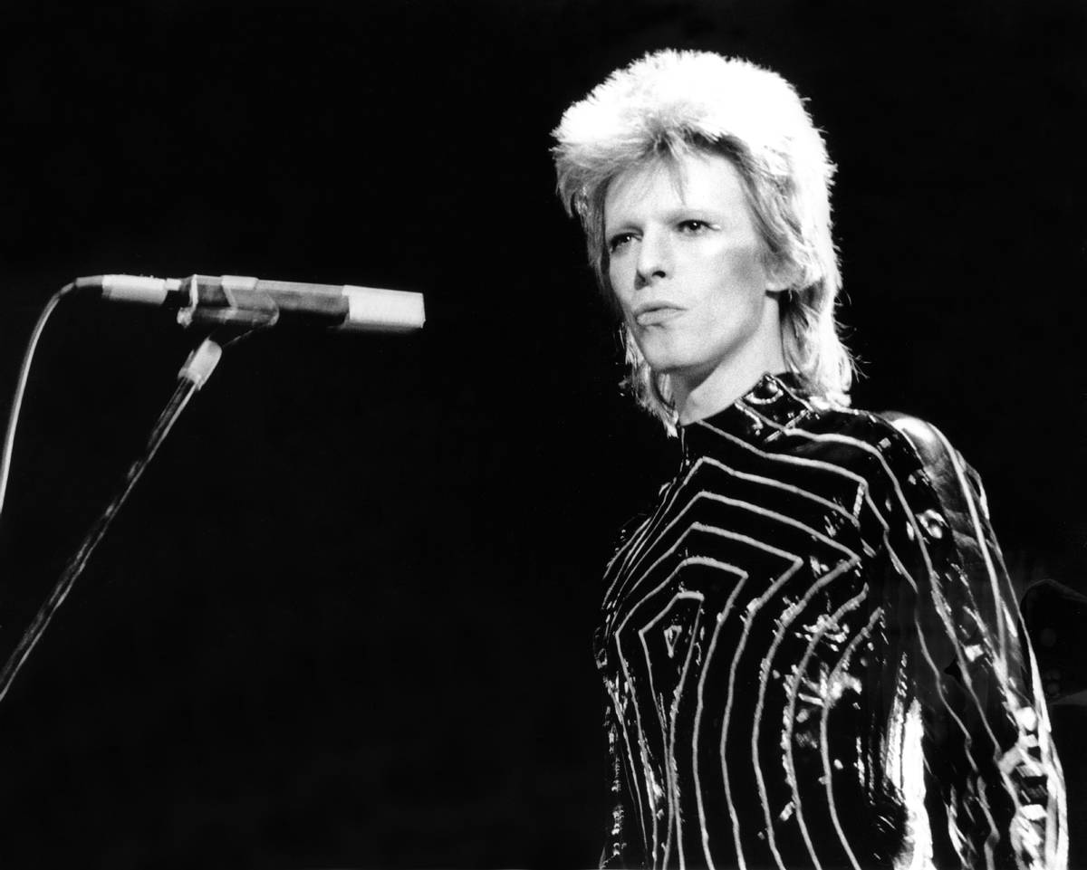 Ziggy-Stardust