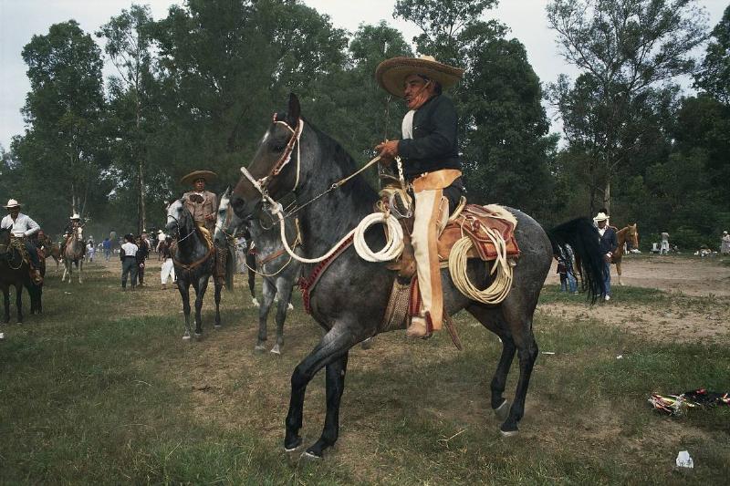 Cowboys Originated From Mexico