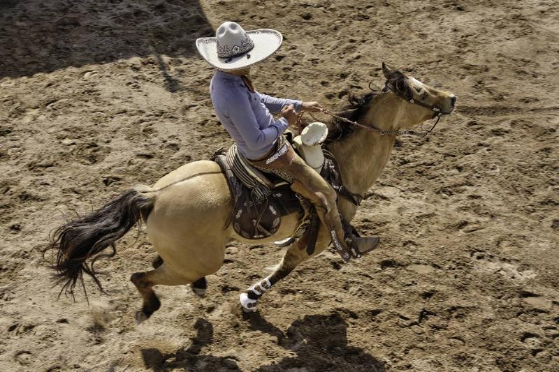 Riding Wasn't For Everyone