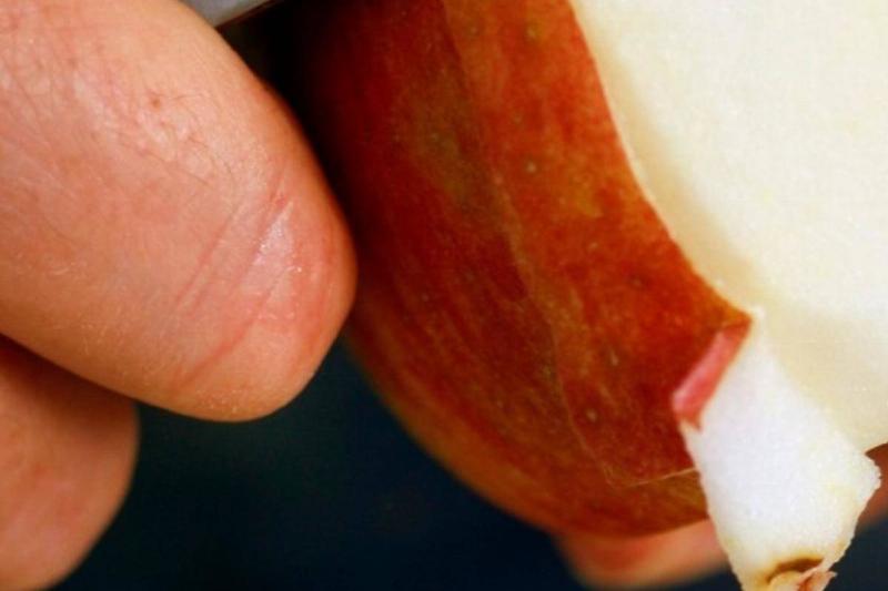apples